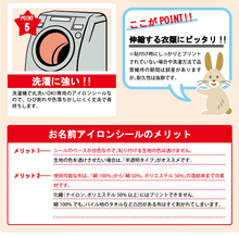 画像をギャラリービューアに読み込む, お名前アイロンシールのメリット